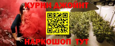 сатива Апшеронск