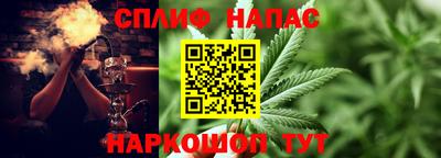 прущие грибы Аргун