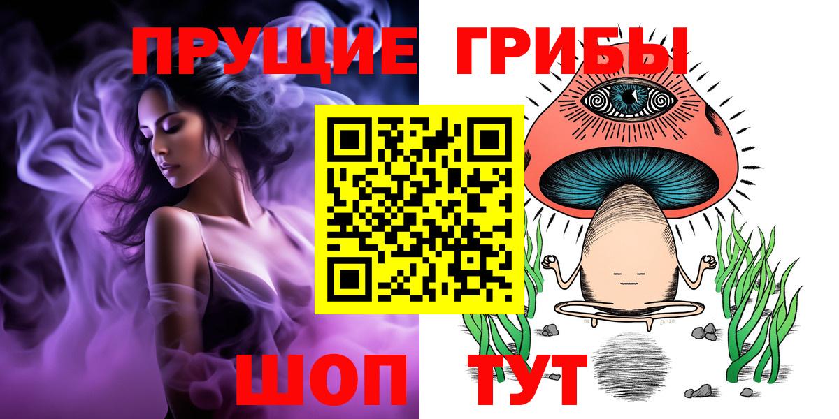 Галлюциногенные грибы Psilocybine cubensis Волжск